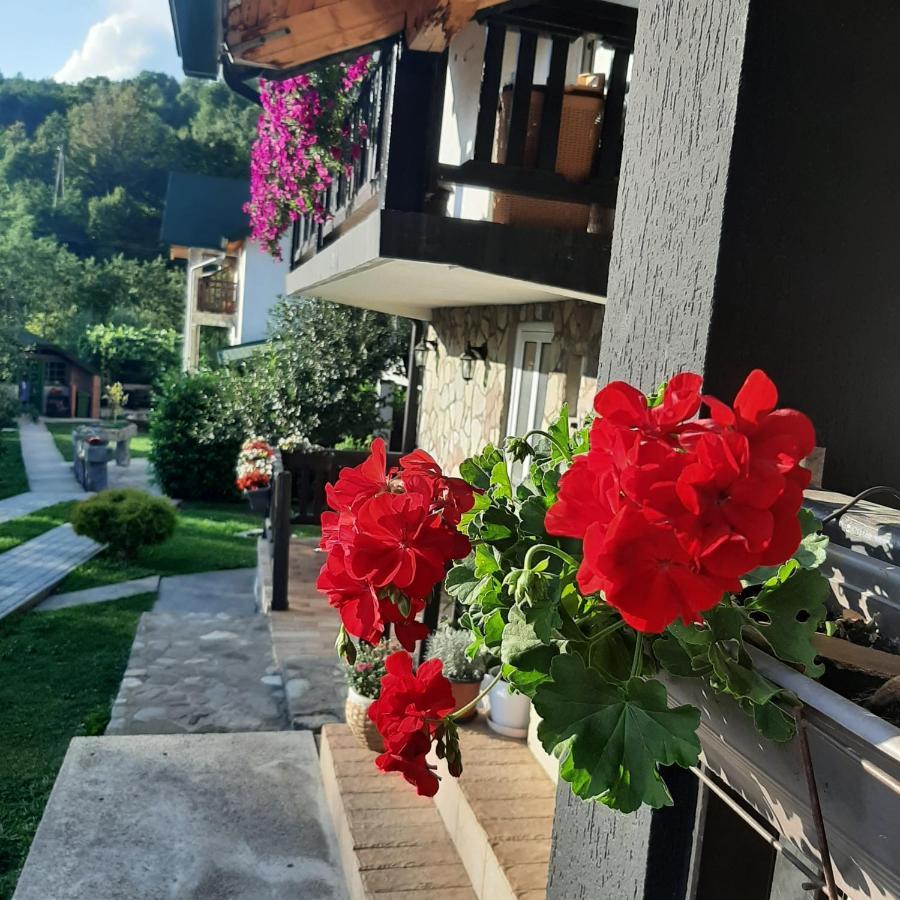 Rooms And Apartmants Mirovic โคลาชิน ภายนอก รูปภาพ