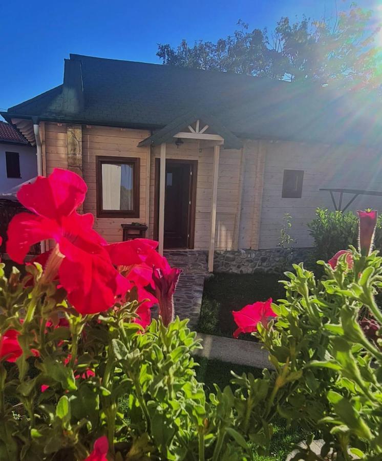 Rooms And Apartmants Mirovic โคลาชิน ภายนอก รูปภาพ
