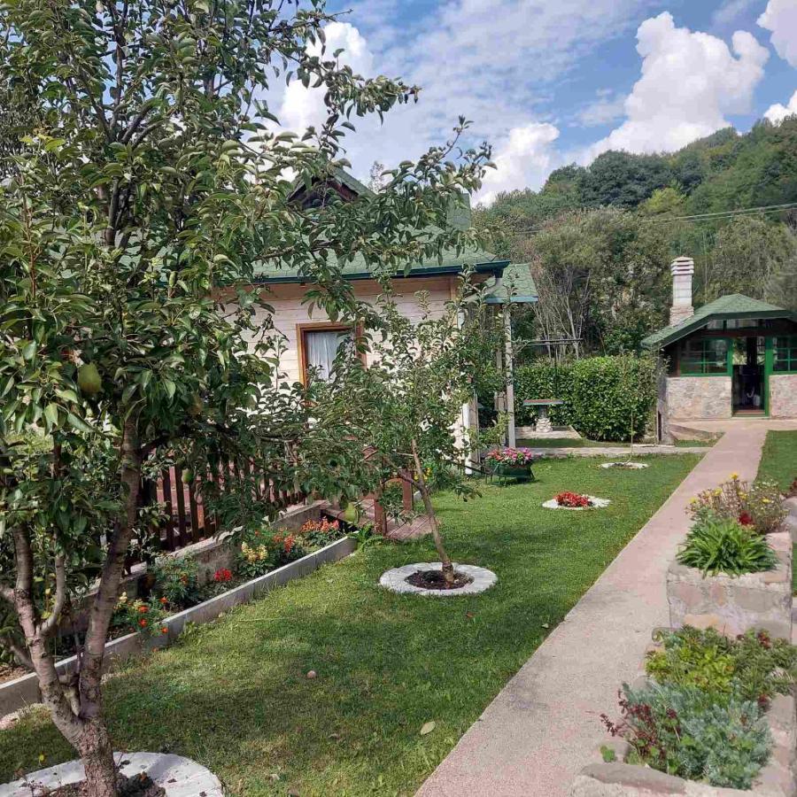 Rooms And Apartmants Mirovic โคลาชิน ภายนอก รูปภาพ