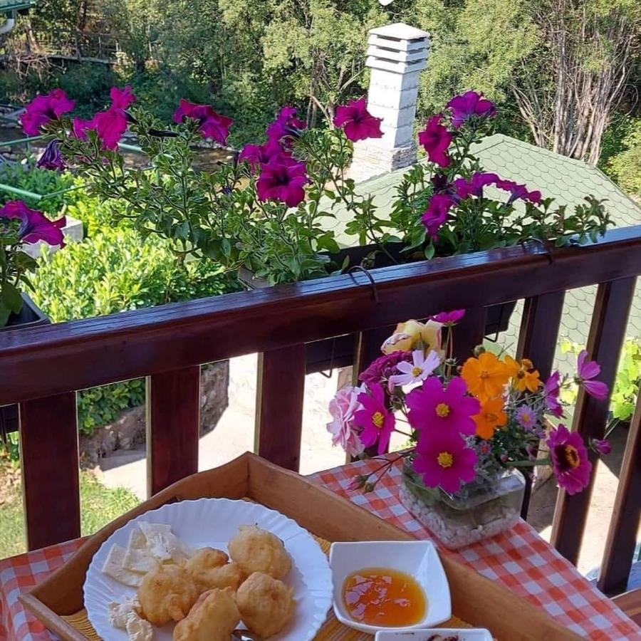 Rooms And Apartmants Mirovic โคลาชิน ภายนอก รูปภาพ