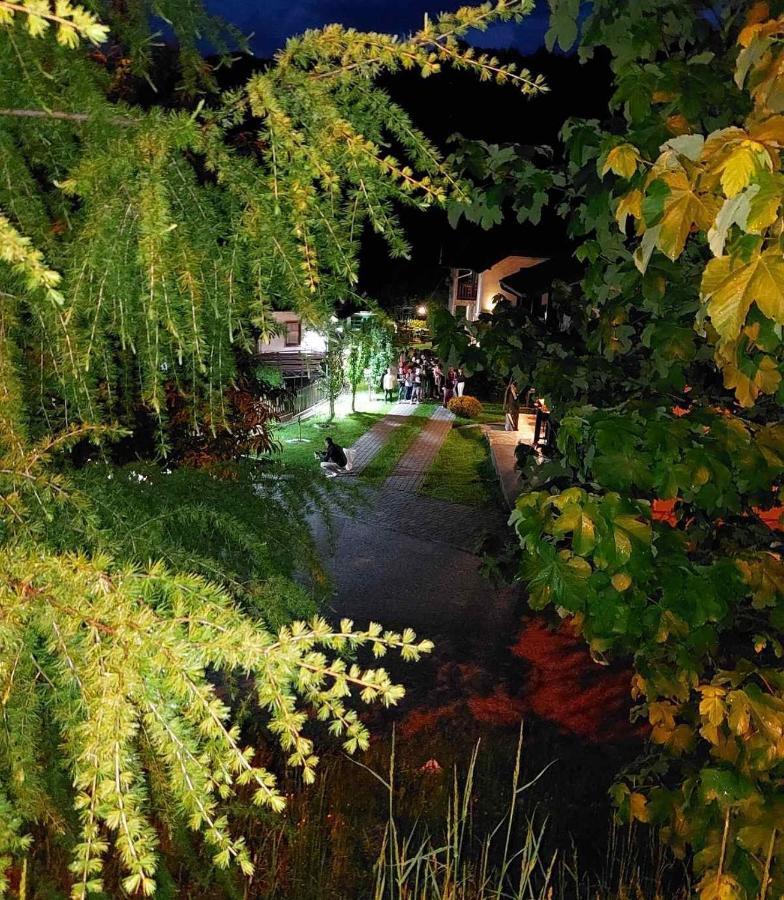 Rooms And Apartmants Mirovic โคลาชิน ภายนอก รูปภาพ